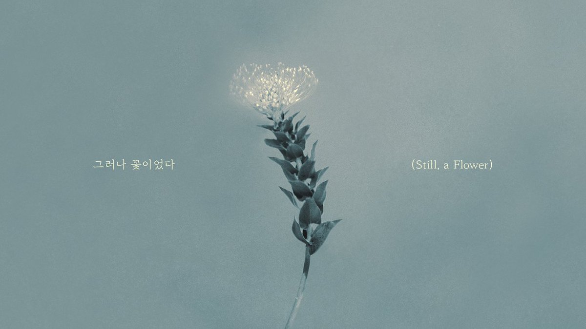 CNBLUE (씨엔블루) 3RD ALBUM [3LOGY] PRE-RELEASE SINGLE ‘그러나 꽃이었다 (Still, a Flower)' LYRIC VIDEO 🔗 #CNBLUE #씨엔블루 #3LOGY #그러나_꽃이었다 #Still_a_Flower