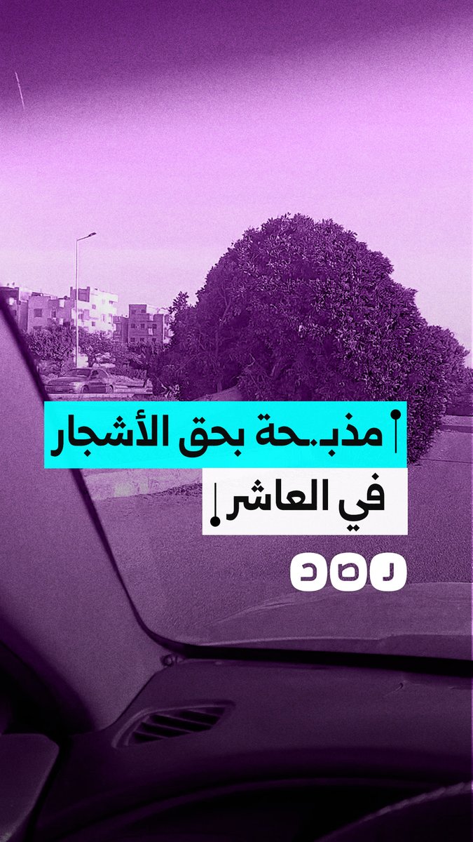 مواطن يوثق قطع الأشجار في منطقة العاشر من رمضان بمحافظة الشرقية