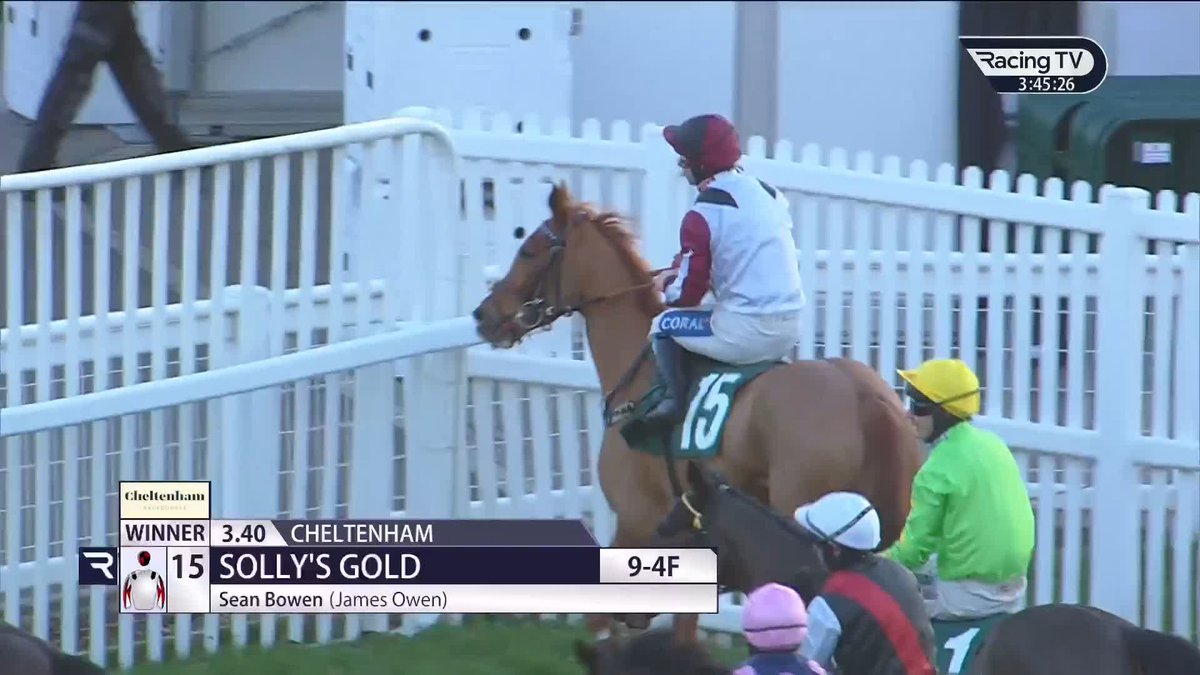 11 Solly's Gold impresses in the concluding bumper to retain his unbeaten record 👇🏻