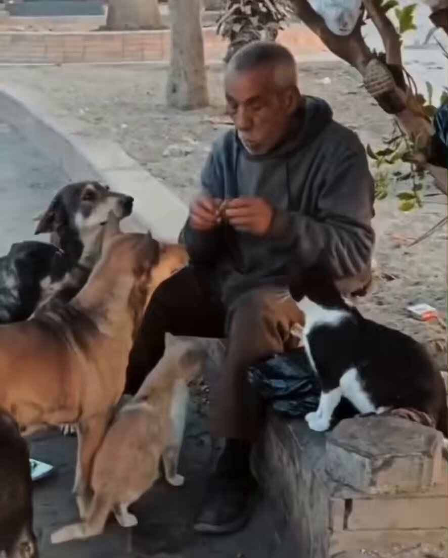 الله يعطيه العافية، ويفتح له أوسع أبواب الرزق على رحمته ورفقه بالمخلوقات الضعيفة، وإقتسامه لطعامه معهم.