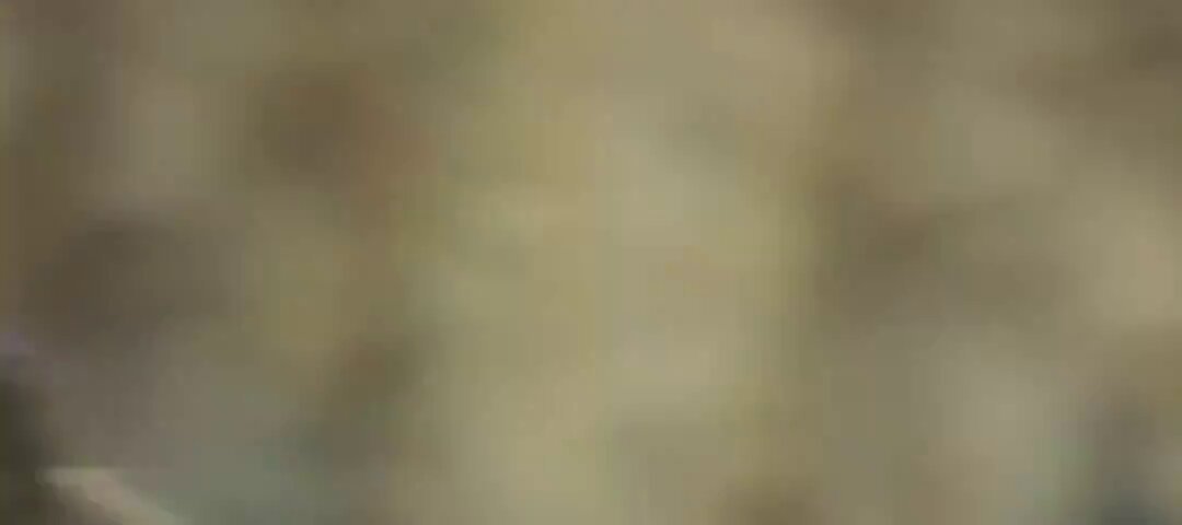 Yüzüklerin Efendisi'nden silinmiş sahneler Eowyn'in Uruk-hai kestiği sahneler yönetmen kararı ile filmde yer almadı.