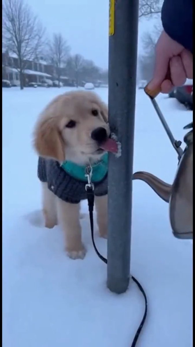 Aww, poor little baby