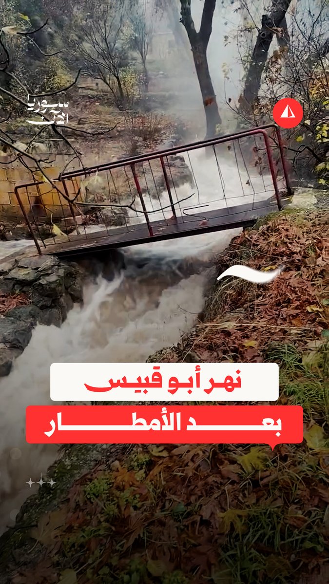 محاطا بالطبيعة الساحرة.. نهر قرية أبو قبيس يتدفق بقوة إثر هطول أمطار غزيرة على المنطقة