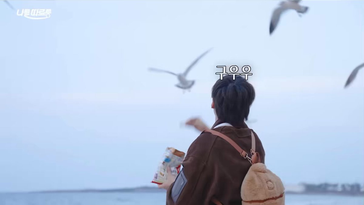 never seen someone being so excited to feed the seagulls like minhyuk😭 #민혁