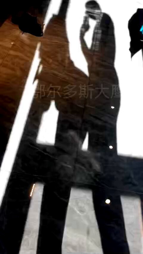 今天的阳光真好，窗前的影子真美。。。