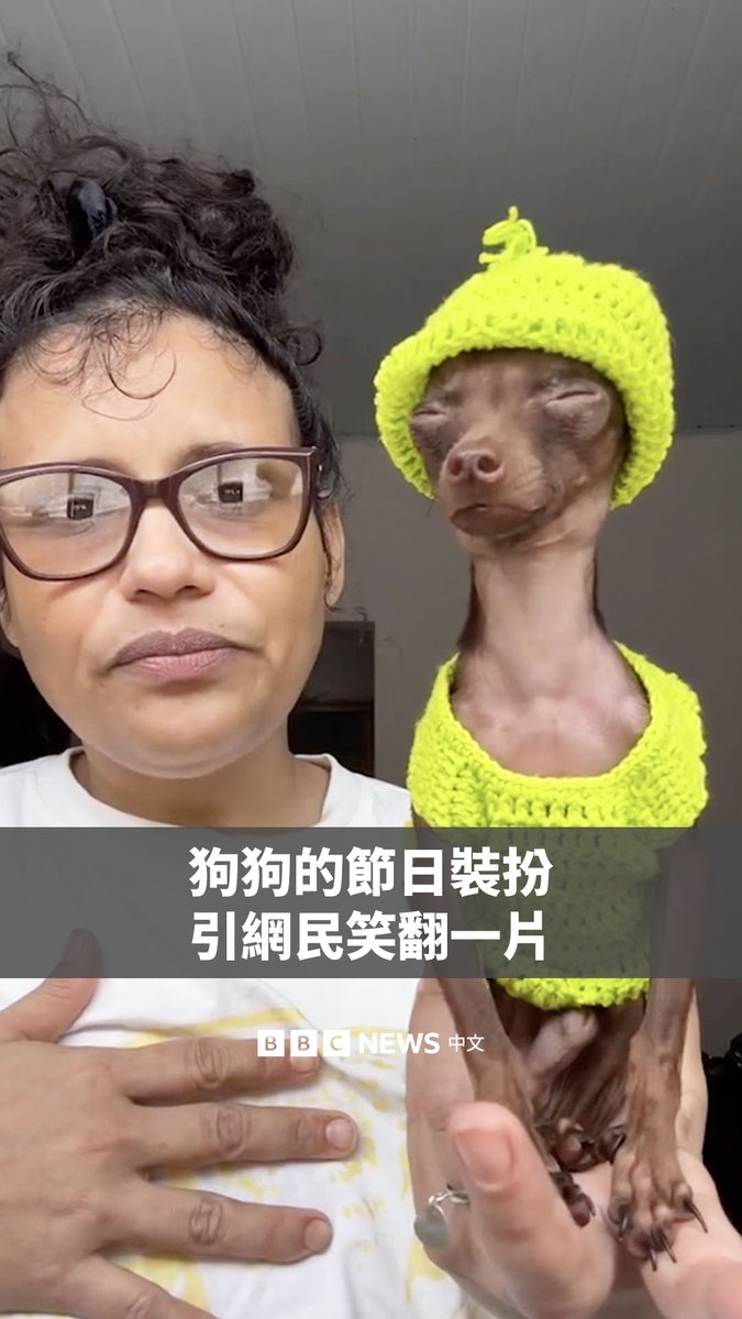 来自巴西的Rozi想给她的“网红”狗狗Yoxi织一件圣诞毛衣,结果却意外笑翻网民。因为它看起来神似圣诞角色绿毛怪“格林奇”(Grinch),和美国说唱歌手史努比狗狗(Snoop Dogg)。