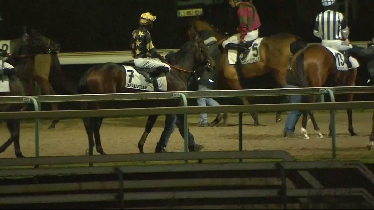 "I wouldn't have that level of support on the National Hunt, and never did have it" Some fascinating insight into why his operation has become more flat-focussed in recent years, Ian Williams Racing spoke to Matt Chapman after Tonal doubled up at Wolverhampton Races...