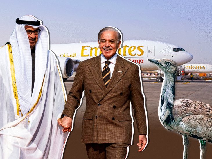 رحلة صيد طويلة!! من المثير للانتباه ،أن الشيخ محمد بن زايد آل نهيان رئيس دولة الامارات، لم يقطع زيارته الطويلة الى باكستان ،رغم تصاعد التوترات في اليمن والخلافات مع السعودية ،دون إعلان رسمي عن العودة. وبرغم التصعيد العسكري في حضرموت والمهرة، والخلافات السعودية-الإماراتية ،التي خرجت إلى العلن وتزامنت مع غارات سعودية ودعوات لانسحاب إماراتي، وإعلان أبوظبي استكمال عودة قواتها، استمر الشيخ محمد بن زايد في رحلته إلى باكستان دون قطعها أو اختصارها. بدأت الزيارة رسمياً في 26 ديسمبر بوصوله إلى إسلام آباد، وسط استقبال مهيب، وبحث تعزيز الشراكة الاقتصادية والدفاعية مع رئيس الوزراء شهباز شريف. وانتقل إلى منطقة رحيم يار خان فى جنوب البنجاب، حيث التقى شريف مجددا في قصر الشيخ زايد بن سلطان، مع استمرار أنشطة الصيد التقليدي بالصقور المعروفة باسم مقناص الحبارى. وبحسب تقارير اعلامية فقد ، تم رصد 12 طائرة شحن عسكرية وخاصة قادمة من الإمارات قبل زيارة محمد بن زايد إلى مناطق صحراوية نائية في باكستان.. وشملت الشحنات مخيمات متنقلة فاخرة، وعددًا من سيارات الدفع الرباعي، وصقورًا مدرَّبة، جرى تفريغها في مدارج طيران خاصة بغرب إقليم السند وصحراء تشوليستان في جنوب إقليم البنجاب. المدهش أن وزير الخارجية الباكتسانى قال أن الزيارة الرسمية سيعقبها رحلة صيد ،فيما قال رئيس الحكومة الباكستانية أنه أجرى خلال نفس الزيارة ،محادثة هاتفية ودية مع ولى العهد العسودى الأمير محمد بن سلمان ، تبادلا خلالها وجهات النظر حول الأوضاع الإقليمية، مع التأكيد على ضرورة وحدة الأمة الإسلامية، والحفاظ على السلام والاستقرار الإقليميين عبر الحوار والدبلوماسية!!