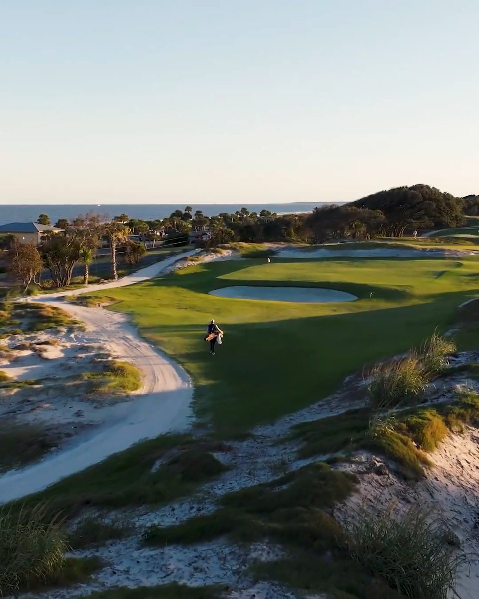 Six courses we're excited to see in 2026. 🙌