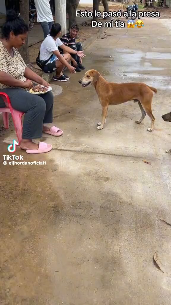 But why 😂😂😂😂😂