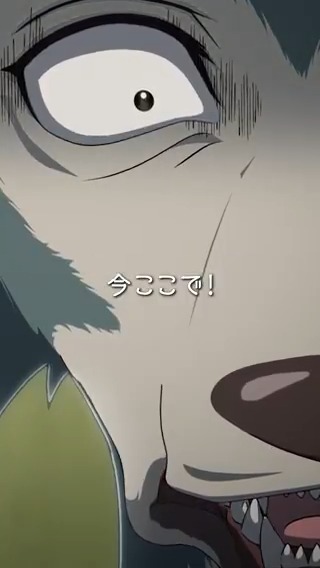 ◤◢◤◢◤◢◤◢◤◢◤◢◤◢◤◢ アニメ『#BEASTARS』シリーズ プレイバック🎥 ◤◢◤◢◤◢◤◢◤◢◤◢◤◢◤◢ 「今ここで！」 第1期各媒体で好評配信中🎥 完結作『BEASTARS FINAL SEASON』Part2は 2026年3月Netflixにて独占配信✨ ED主題歌：#SEVENTEEN「Tiny Light」 #bstanime
