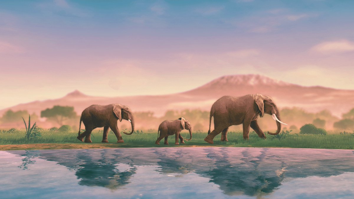 Trailer for Seclusa: a wildlife photography game. Embark on a safari in East Africa and acquire a variety of upgrades and collectibles. Launching in 2026 for PC.
