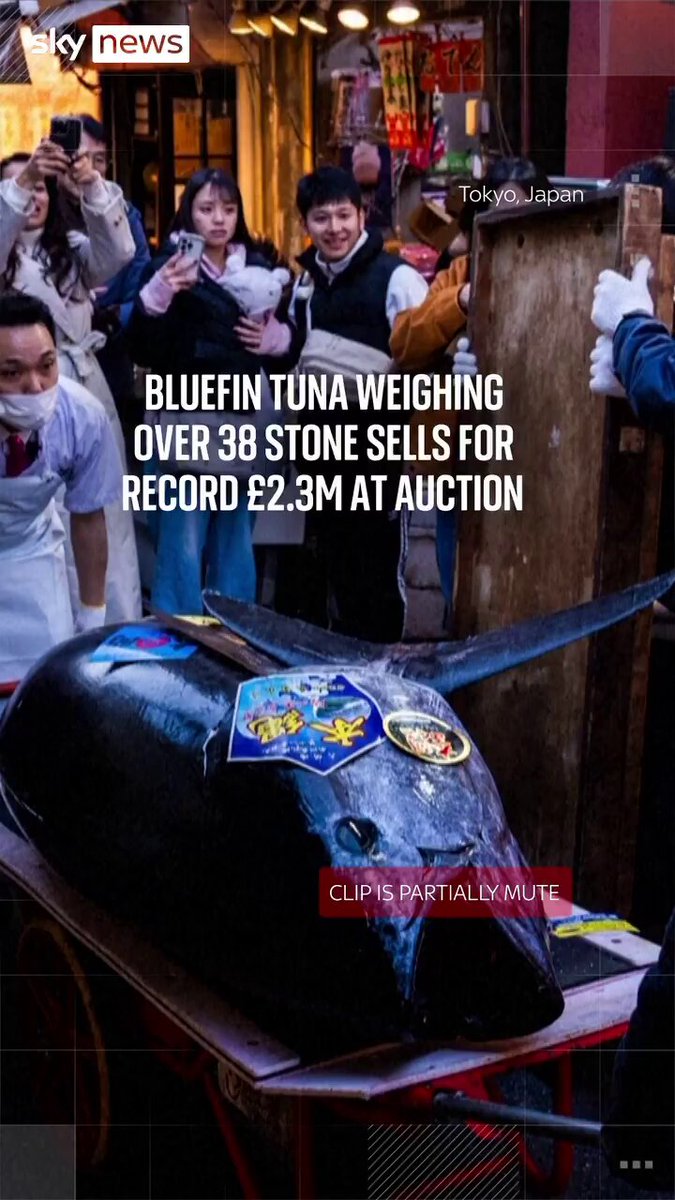 🚨🐟 38 Stone Bluefin Tuna just set the world record for the most expensive fish in history costing £2.3M in Tokyo ‼️ It sells for £10K per Kg No wonder the Chinese want to dominate The Worlds Fishing Channels for themselves.