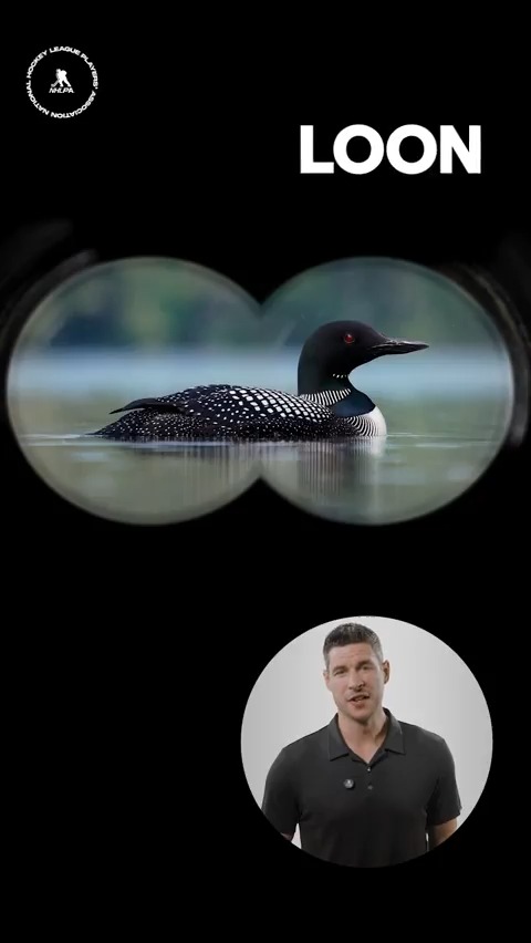We set the birdwatching record straight with Sidney Crosby and Kevin Hayes, but still keeping our eyes peeled for those No. 87 binoculars this #NationalBirdDay 👀🐦