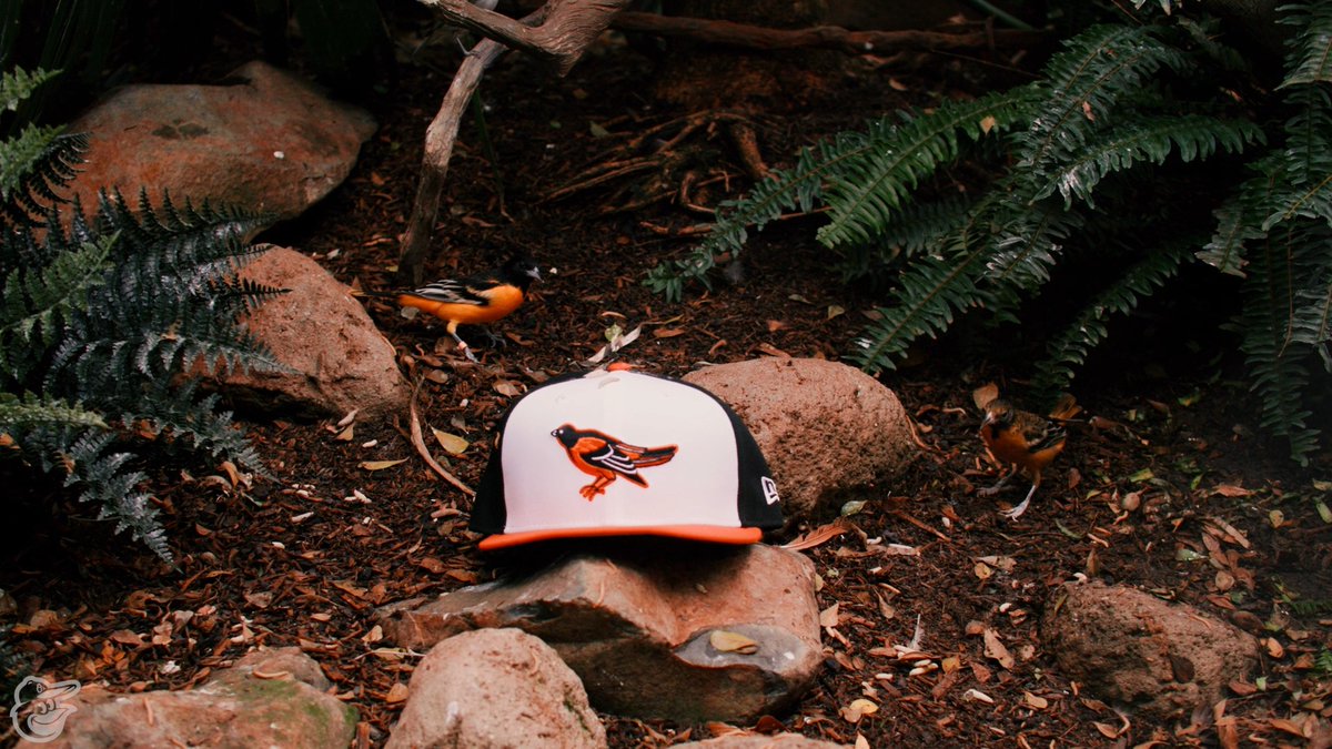 Whether Kevin understood the assignment or not, he delivered. Happy National Bird Day, Birdland!