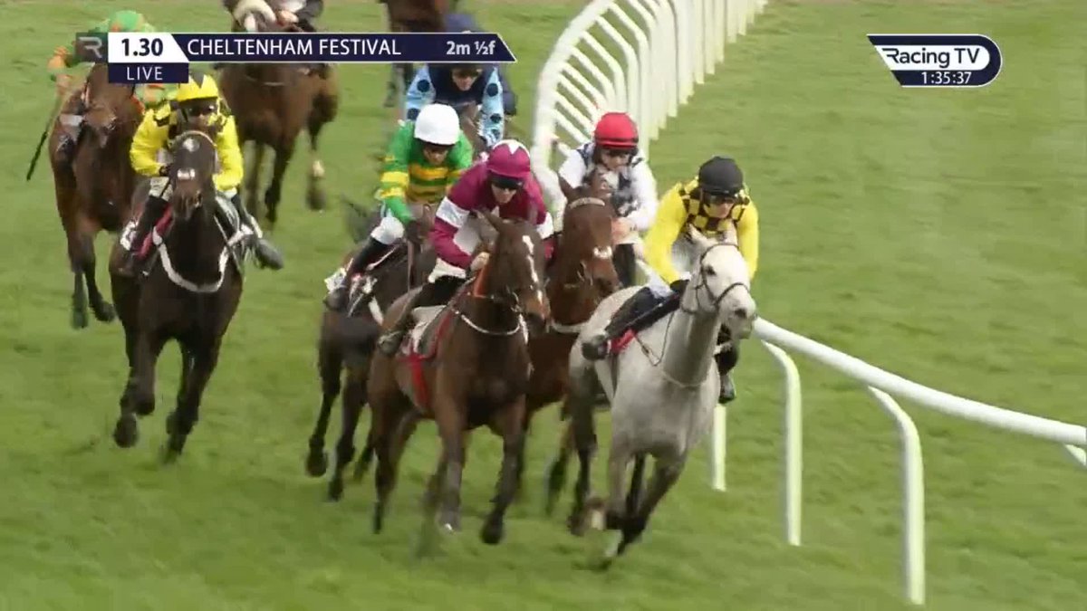 👀 Per TheStatsDontLie, 11 of the last 12 Supreme Novices Hurdle winners had won a Graded race before winning at Cheltenham. 🟡⚫️ SHISHKIN the exception to the rule - what a horse he was!