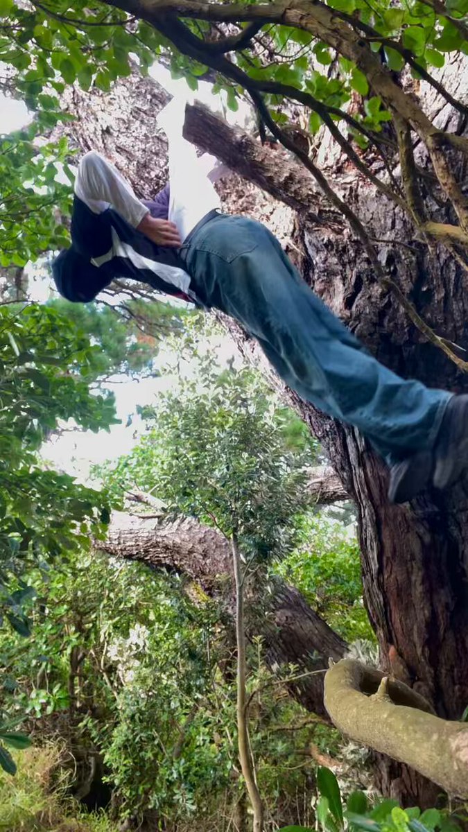 Ok this one fckin hurt (idk why my undies are glowing) #wedgie #treewedgie #hangingwedgie #danglingwedgie #bullywedgie #guywedgie #publicwedgie #dorkwedgie