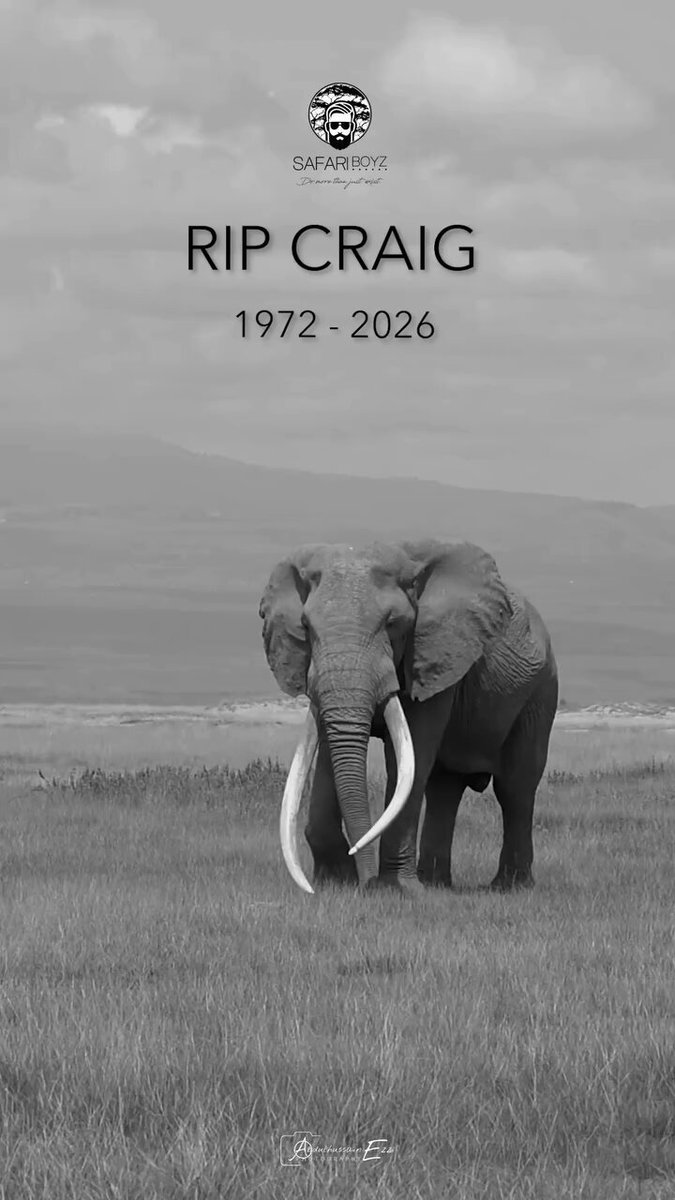 Amboseli’s gentle giant was one of the most photographed elephants in the world and among Africa’s last remaining ‘super tuskers.’ He passed on January 3, 2026