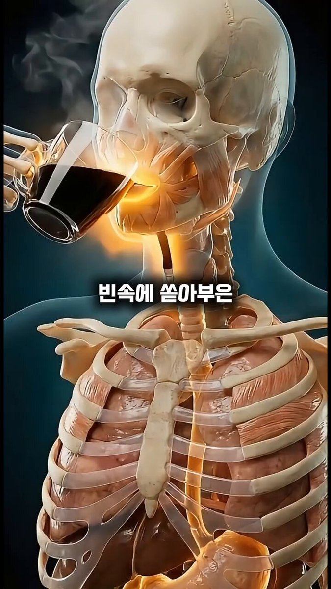 공복 커피가 위벽을 녹이는 순간