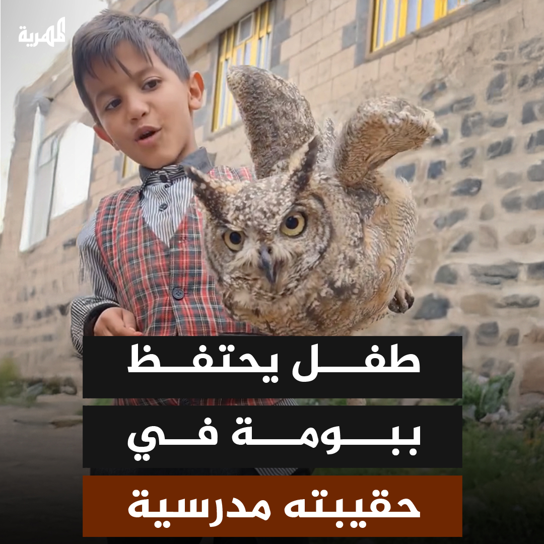 طفل في #إب يفاجئ مواطنين باحتفاظه ببومة داخل حقيبته المدرسية بعد أن اصطادها في مقطع فيديو لاقى تفاعلا كبيرا على المنصات