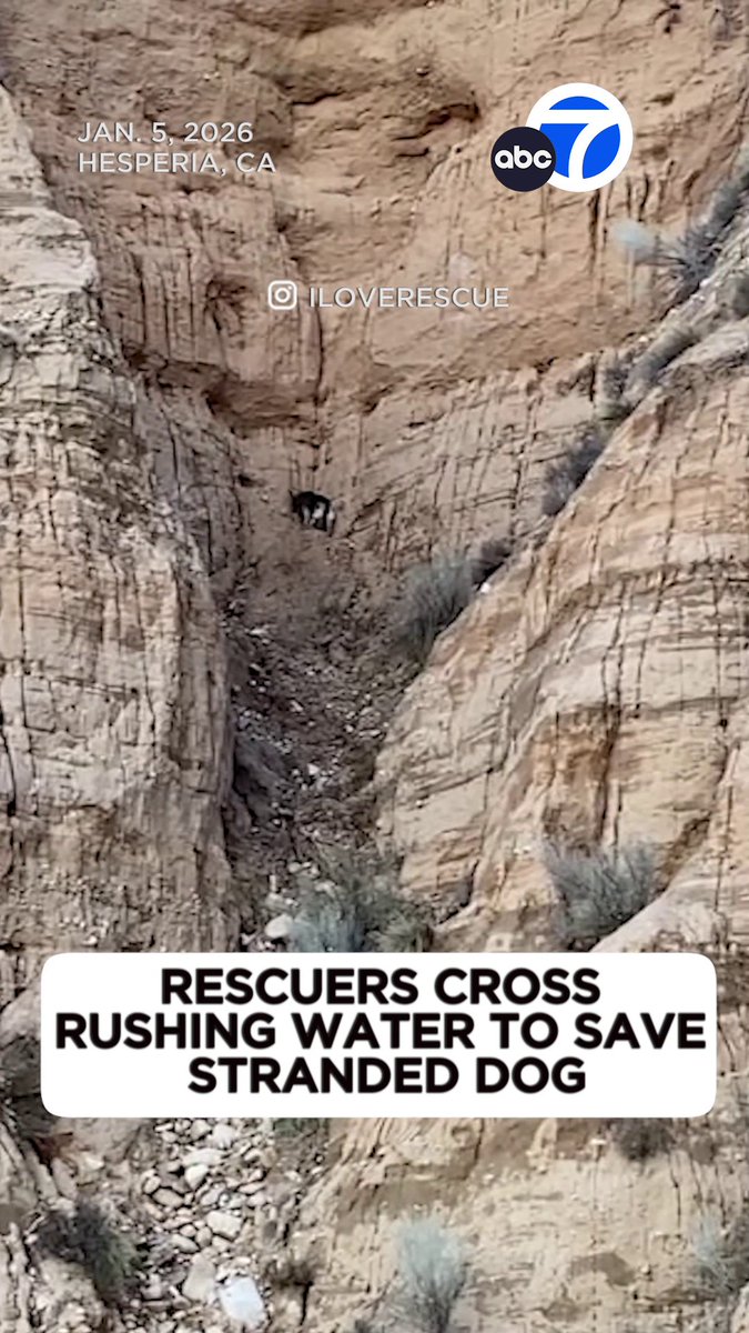 A few good Samaritans dropped everything to help a dog who was stranded in rough terrain in Hesperia, and the dramatic rescue was caught on exclusive video.