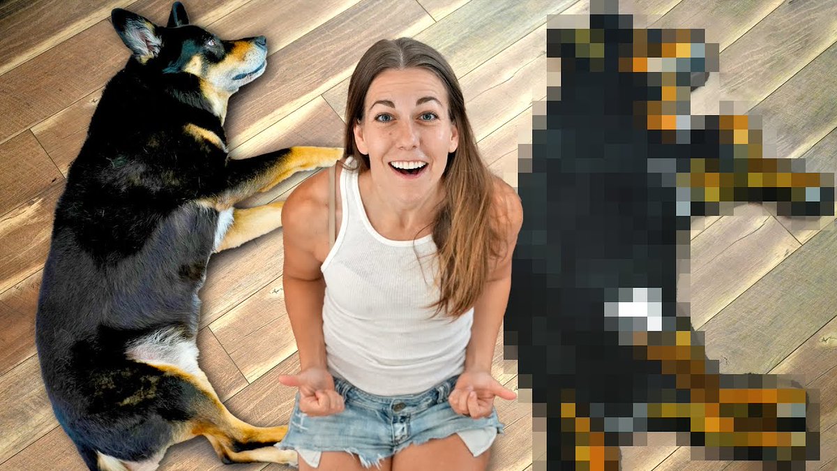 I made a life-size rug of my dog 🐶