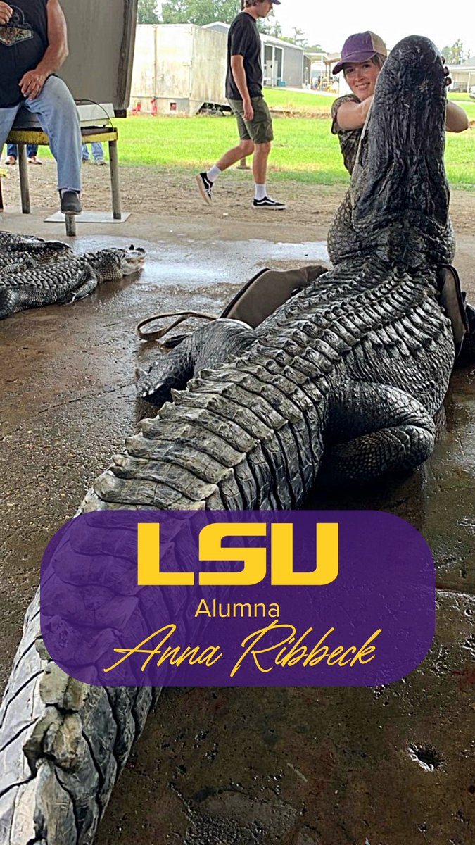 🌿🎯 From LSU classrooms to the bayou! Alumna Anna Ribbeck, aka “Anna the Archer,” brings her horticulture expertise and bow skills to Swamp People 🐊 She got her start filming with LSU AgCenter connections in the bayou and now she’s hunting alongside legends like Bruce “The Alligatorman.” Catch Season 17 on Jan. 7 at 8/7 Central on History Channel.🐊💜💛