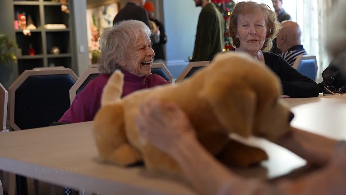 CES exhibitor Tombot created this robotic Labrador retriever named Jennie, which it says can serve as an emotional support animal for people who can’t have pets. Some residents a senior living facility were able to meet and pet Jennie for the first time.