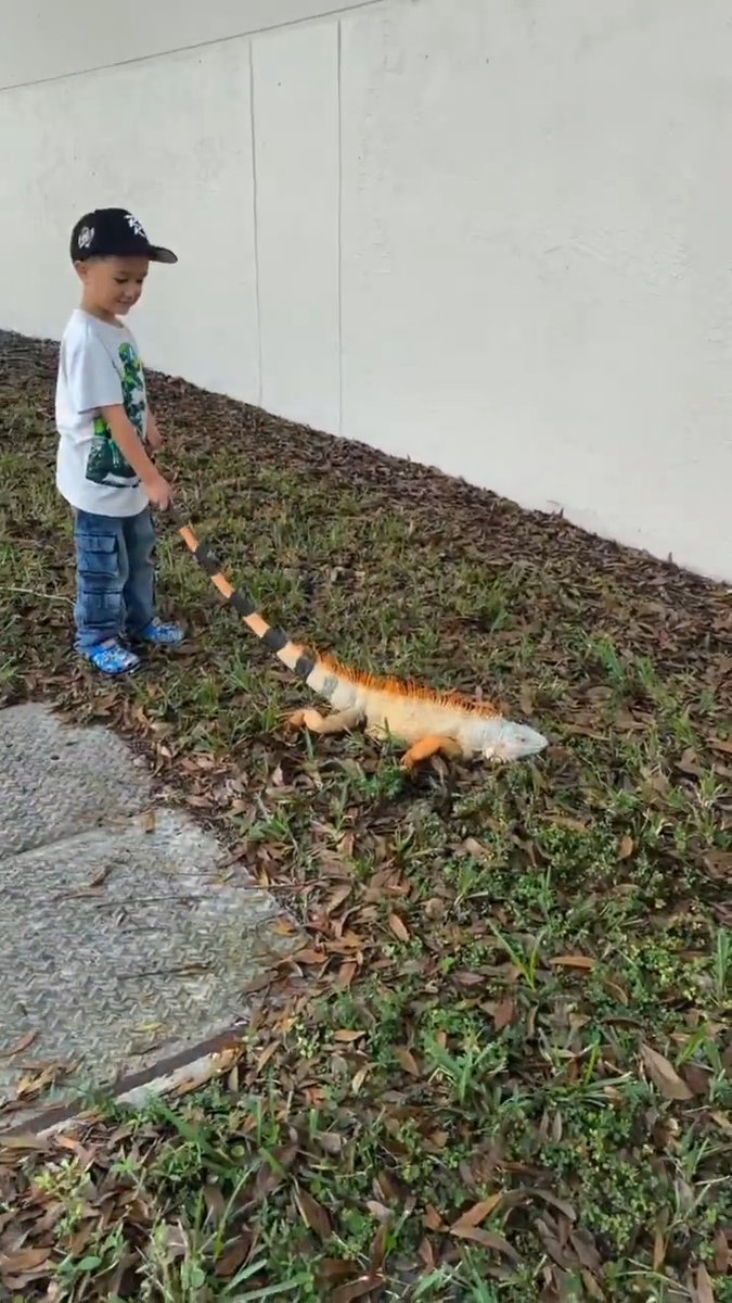 This is the most fearless child I've seen in my life