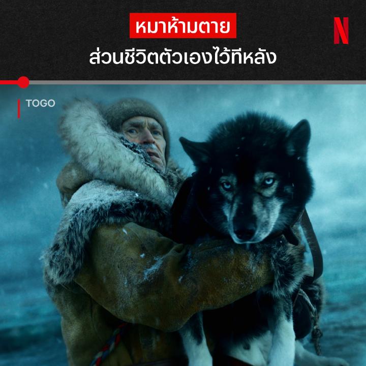 นี่คือหนังรางวัลที่สร้างจากเรื่องจริง ของภารกิจช่วยชีวิตท่ามกลางพายุหิมะ เตรียมเสียน้ำตาให้กับสุนัขลากเลื่อนหัวใจแกร่ง ที่ชื่อว่า #TOGO ด้วยงานภาพที่ถ่ายทอดความหนาวเหน็บ และความหาญกล้าได้แบบทัชหัวใจ วิลเลียม ดาโฟ และเจ้าโทโก รอคุณมาเดินทางไปด้วยกันอยู่ที่ #NetflixTH