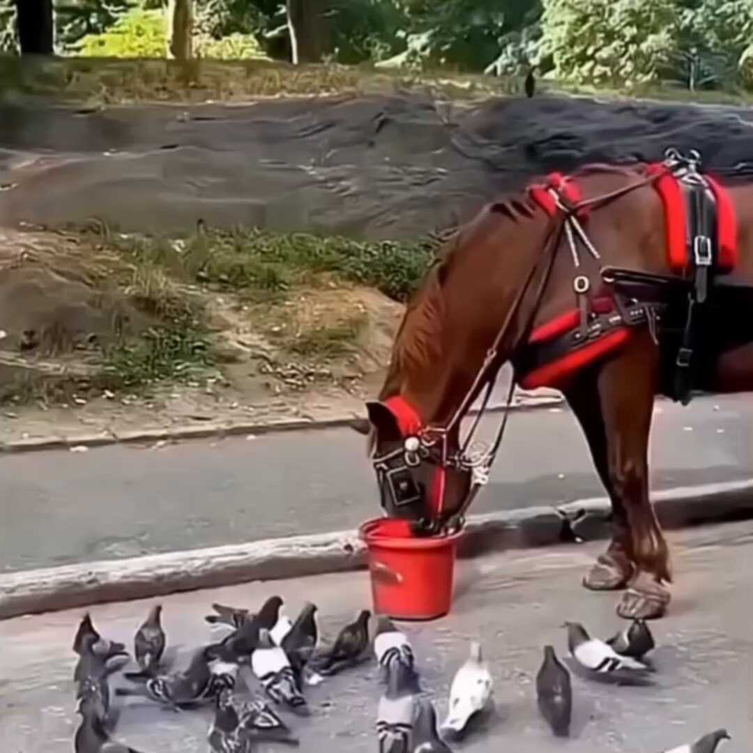 Sharing is caring.. 😊