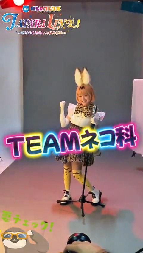 📣𝟏/𝟏𝟓㈭ｰ𝟏𝟖㈰開催🦥🎊 #舞台けものフレンズ \✨すぽっとらいとフレンズ！チーム紹介✨/ ✦═ TEAMネコ科 ═✦ ❤️サーバル▷#尾崎由香 ❤️ホワイトタイガー▷#野口真緒 ❤️イエネコ▷#安藤千伽奈 ❤️アムールトラ▷#中野郁海 チケット好評発売中🎉