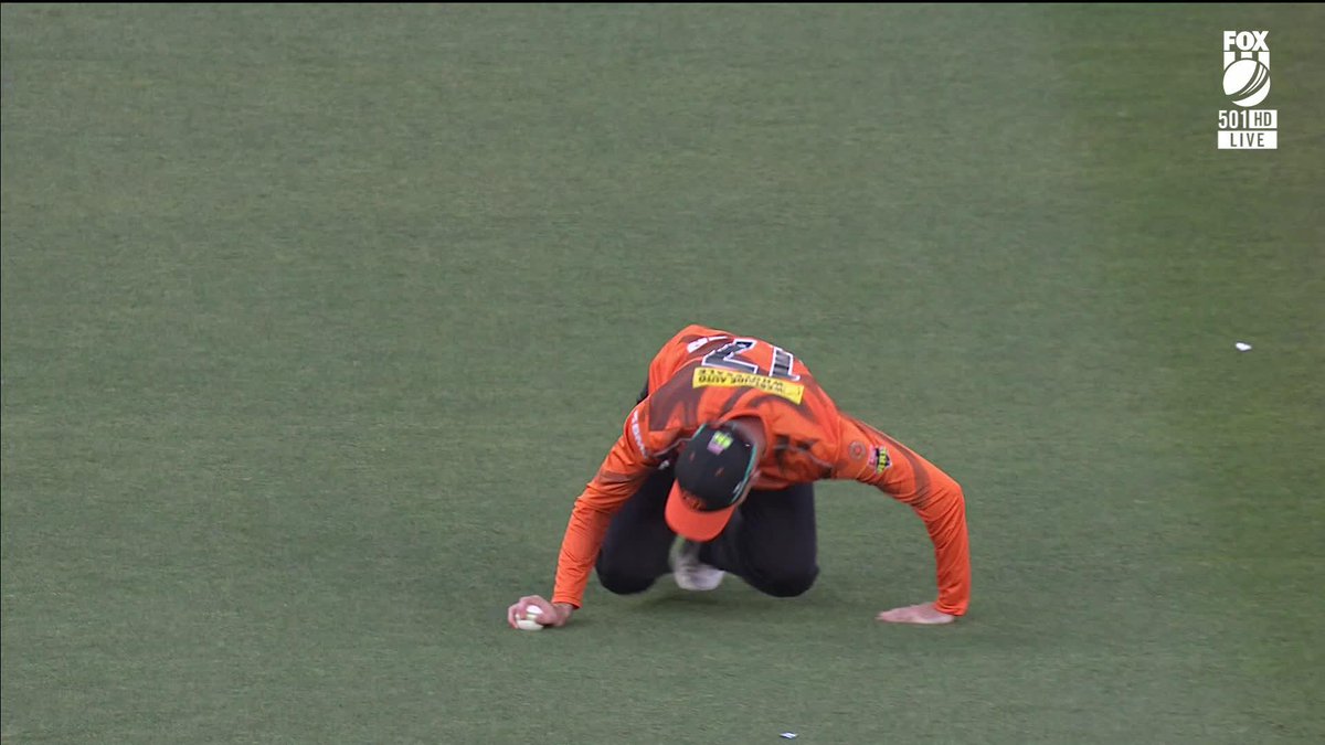 WOW. Ashton Turner is DENIED a catch late in this chase 👀 What's your verdict? 📺Watch #BBL15 on ch. 501 or stream via Kayo Sports: ✍️BLOG 🔢MATCH CENTRE