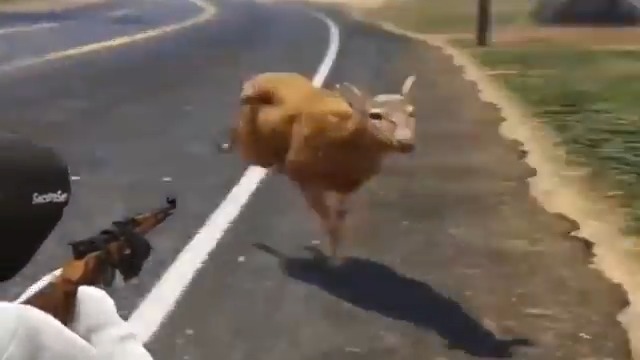 I thought I had seen it all in gaming...GTA hacker pretends to be a deer..
