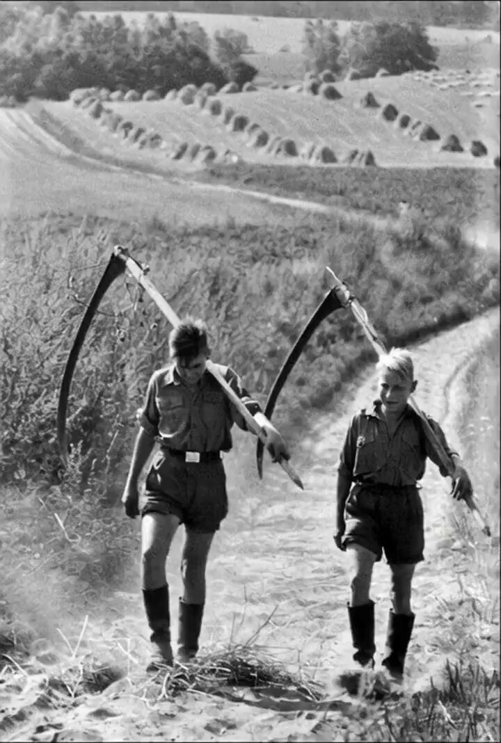 A homeland is not a place, but the sacred tension between race and destiny where your blood knows the trees and :ᛗ:emory becomes law.