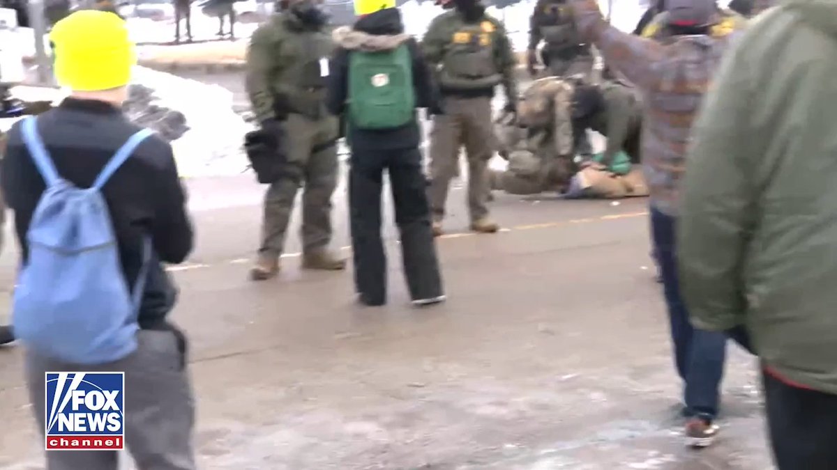 NEW: Woman arrested after a confrontation with law enforcement during a protest over the fatal ICE-involved shooting following an alleged attempted attack on officers.