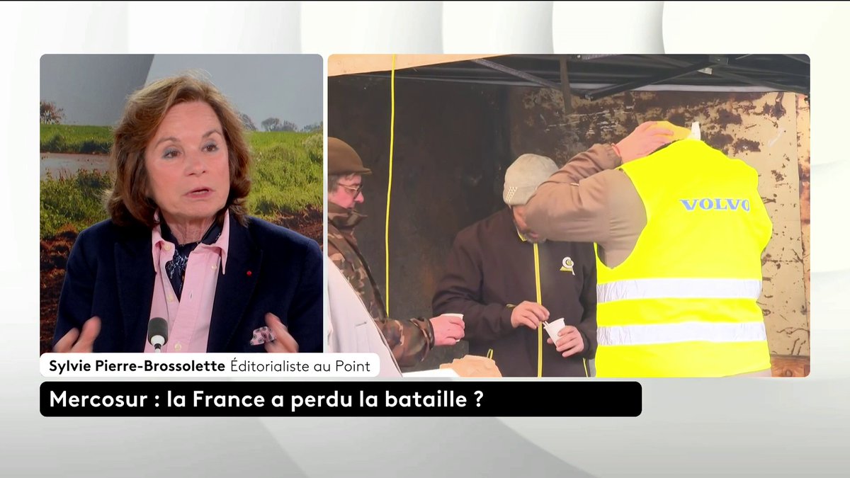 🔴 🗣️ Accord UE-Meercosur : "C'est quand même invraisemblable qu'il n'y ait pas un parti qui rappelle quand même les quelques avantages de ce traité", souligne Sylvie Pierre-Brossolette, éditorialiste au Point. #ToutEstPolitique #Canal16