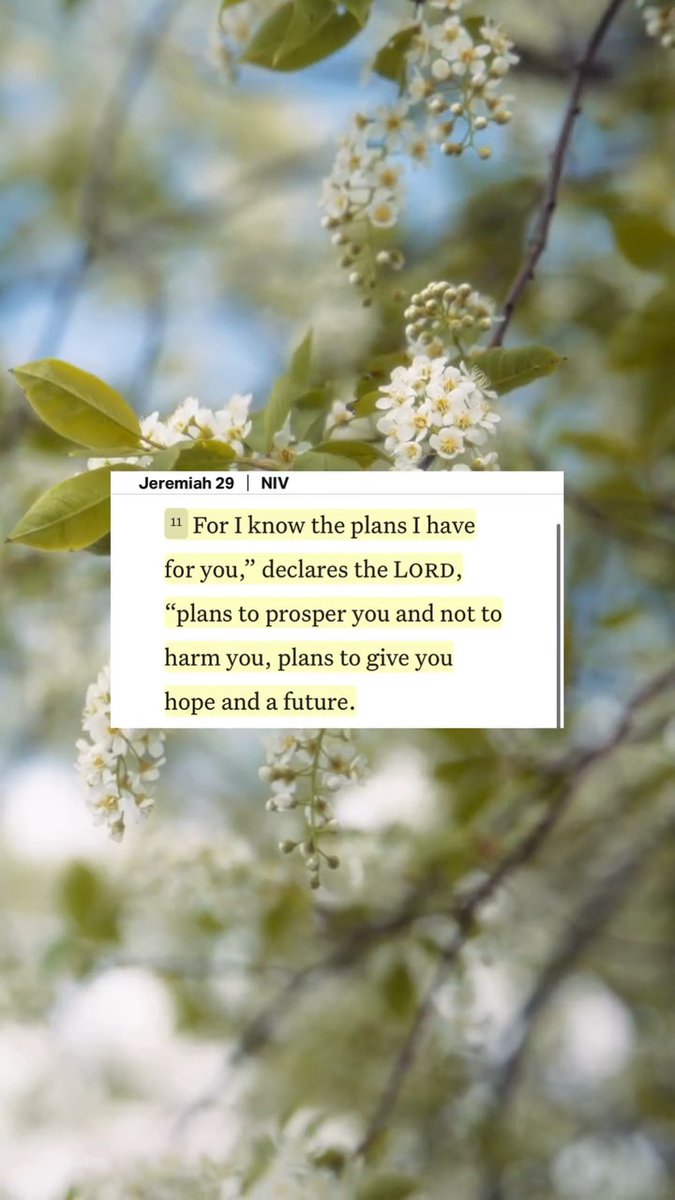 Jeremiah 29:11