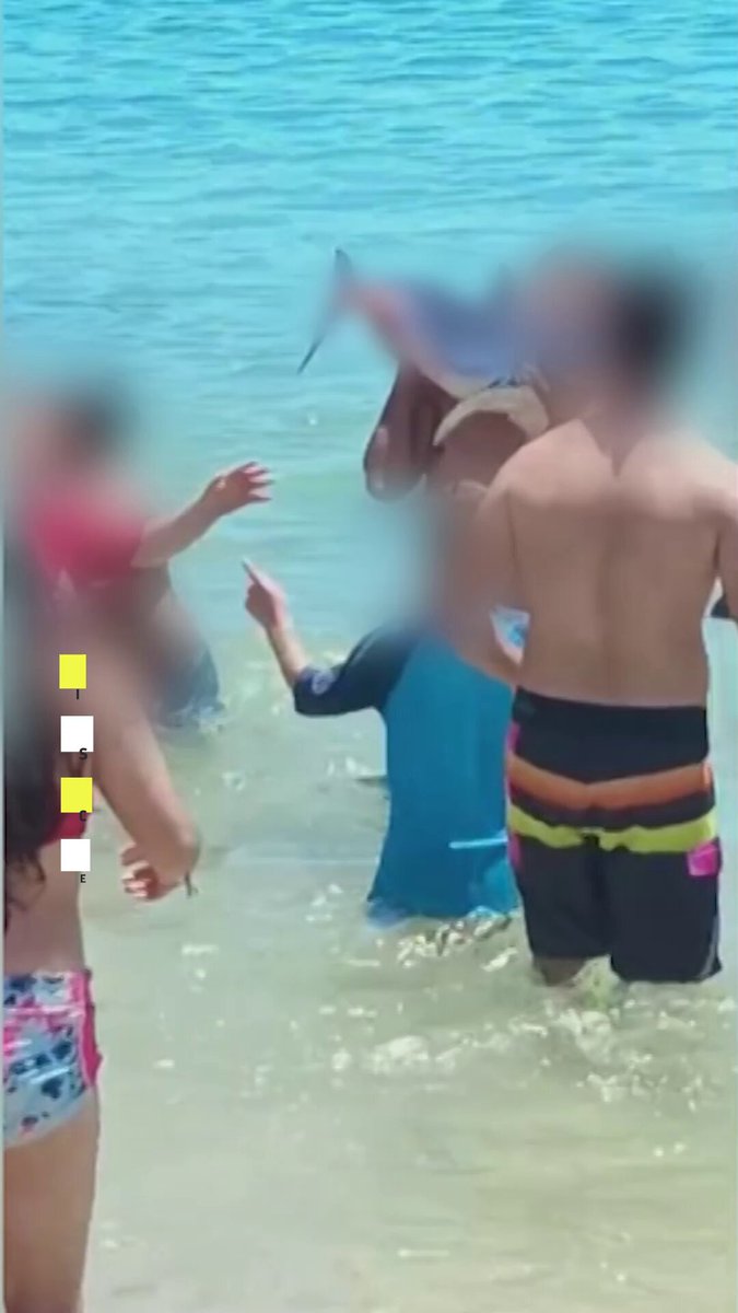🔴 Polémica causó en los últimos días el caso de unos veraneantes que se tomaron fotografías con un tiburón en una playa de El Quisco. 🔴 El animal fue usado como una especie de trofeo por estas personas, un acto que ha sido fuertemente condenado en redes sociales.