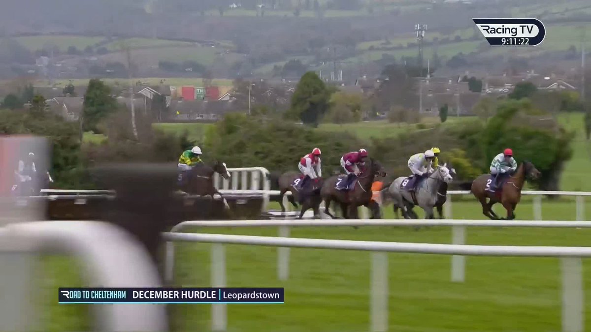 🗣️"Maybe I'm being too harsh on the two of them...🤔" The December Hurdle Leopardstown RC was a thrilling contest, with Lossiemouth getting the better of Brighterdaysahead, but Ruby Walsh spotted something...👀 #RoadToCheltenham | Paddy Power