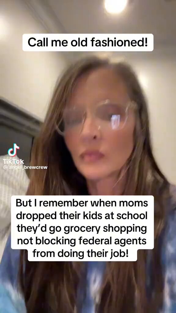 Call me old-fashioned but I remember when moms would drop their kids off at school then go to the grocery store or go home and clean the house. Not go interfere with federal agents.