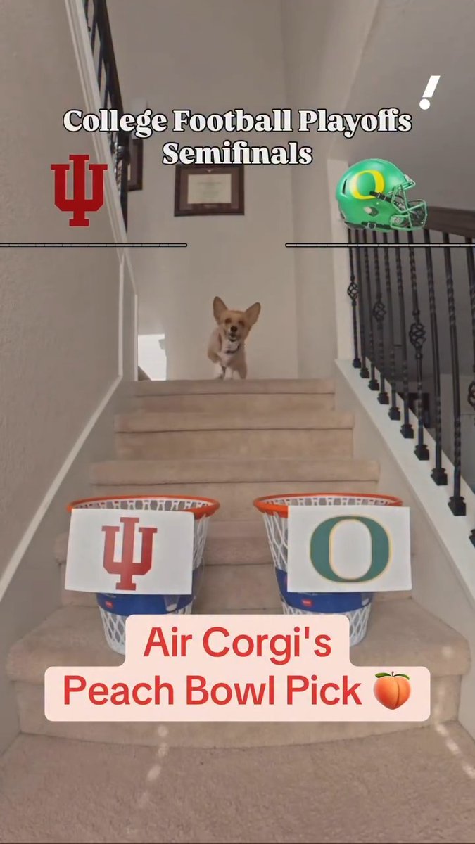Who comes out on top in Air Corgi's Peach Bowl prediction for Indiana-Oregon? 🐾