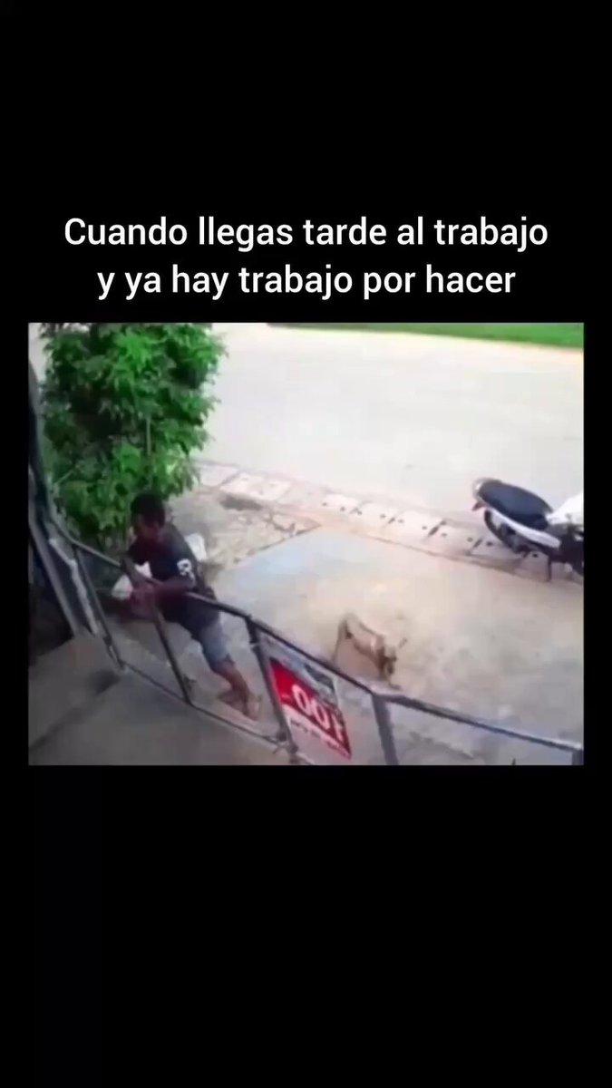 Un perro se fue a dar una vuelta por el barrio y cuando llegó había un tipo en la reja de la casa, enseguida ocupó su rol, y bue, trabajo es trabajo.