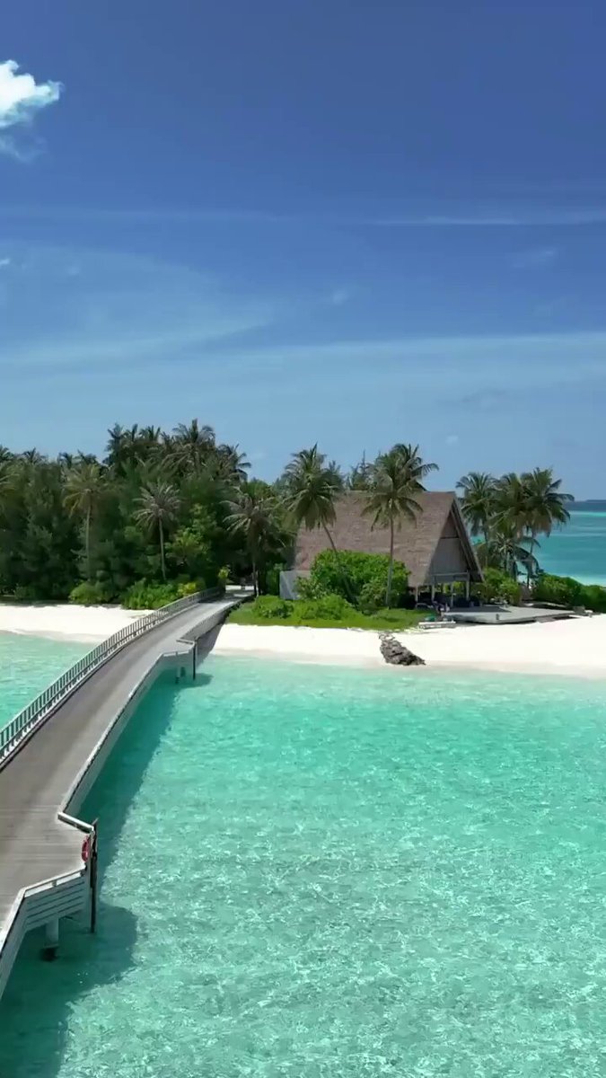 🎸 Hard Rock Hotel #Maldives إذا تحب الإجازة تكون مليانة حياة، موسيقى، وفعاليات… فهذا المنتجع صُمّم لك 🎶🌴 منتجع عصري بطابع مختلف، يجمع بين الفخامة والجو الشبابي ✨، ومثالي للعرسان 💍 والعائلات 👨‍👩‍👧‍👦 اللي يفضّلون الأجواء النابضة بالحياة بعيدًا عن الهدوء التقليدي. فيلل شاطئية ومائية 🏝️ بتصاميم حديثة، مساحات واسعة، وإطلالات بحر 🌊 تخليك تعيش التجربة بكل تفاصيلها. ✨ تجربة متكاملة ما توقف: • فعاليات يومية وعروض موسيقية مباشرة 🎤🎵 • أنشطة بحرية ورياضية تناسب الكبار والصغار 🤿🏄‍♂️ • نادي أطفال وتجارب ترفيهية للعائلة 🎈 • مطاعم متنوعة بنكهات عالمية 🍽️🌍 • سبا وصالة رياضية بإطلالات مفتوحة على البحر 💆‍♀️🏋️‍♂️ ⚓️ مارينا عالمية داخل المنتجع واحدة من أبرز مميزات هارد روك، مارينا نابضة بالحياة ✨ تضم مطاعم ومقاهي ☕️🍴، متاجر 🛍️، وممشى جميل على البحر 🌅. أجواء حيوية من الصباح إلى الليل 🌙 تحسسك إنك في مدينة بحرية متكاملة داخل جزيرة واحدة. 📍 موقعه مميز وقريب من المطار ✈️، والوصول له سهل وسريع، وجميع الخدمات متوفرة حولك بدون الحاجة للتنقل. إذا تبغى تجربة مالديف مختلفة، مليانة فعاليات وأجواء حيوية… Hard Rock Maldives يستاهل التجربة 🤍✨ 📲 للحجز والاستفسار: 📞 0536587782 / 0531933792 الواتس المباشر #موريشيوس #بالي #المالديف #السعودية #الرياض