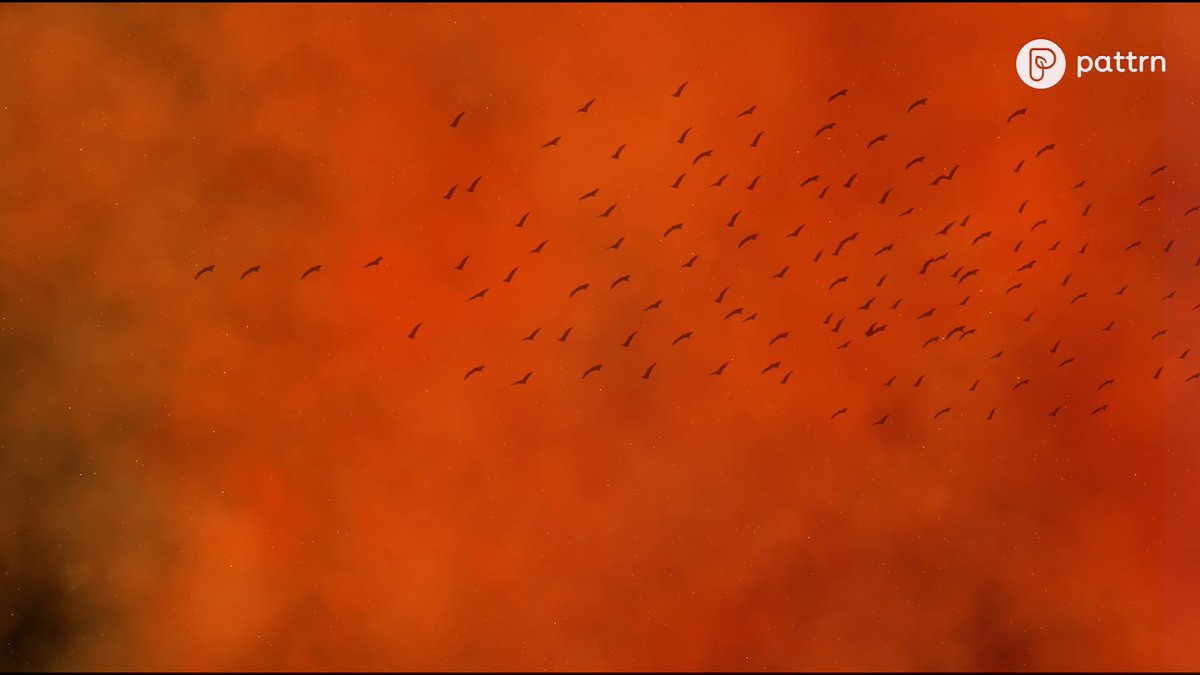 Dr. Allison Shultz is analyzing how soot and ash from the Eaton and Palisades fires are affecting urban bird populations one year later.