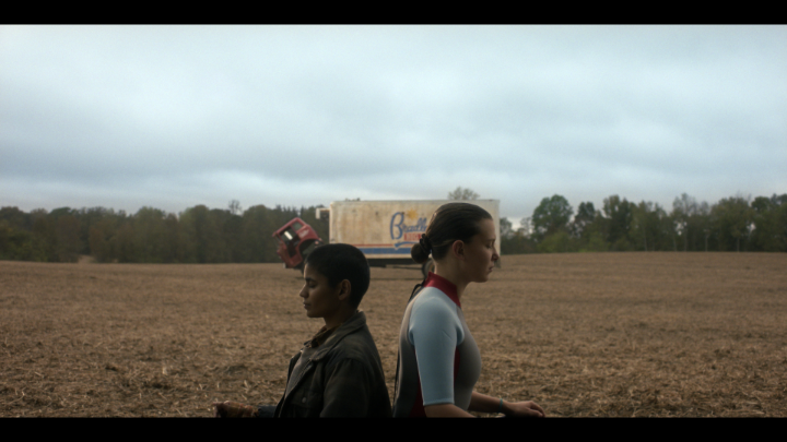 scenes from the bridge