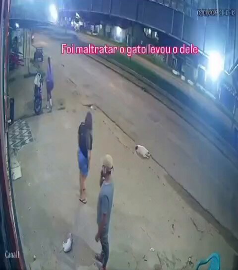 Uma mulher protagonizou um ato de reação após presenciar e intervir em uma agressão contra um gato de rua, no município de Capitão Poço, no nordeste do Pará. O caso ocorreu na noite desta quinta-feira (8), enquanto a mulher aguardava um ônibus em via pública.