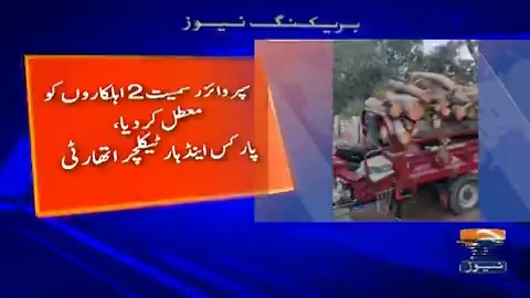 لاہور میں کینال روڈ پر درخت کی شاخ کاٹنے پر پروجیکٹ ڈائریکٹر عہدے سے فارغ