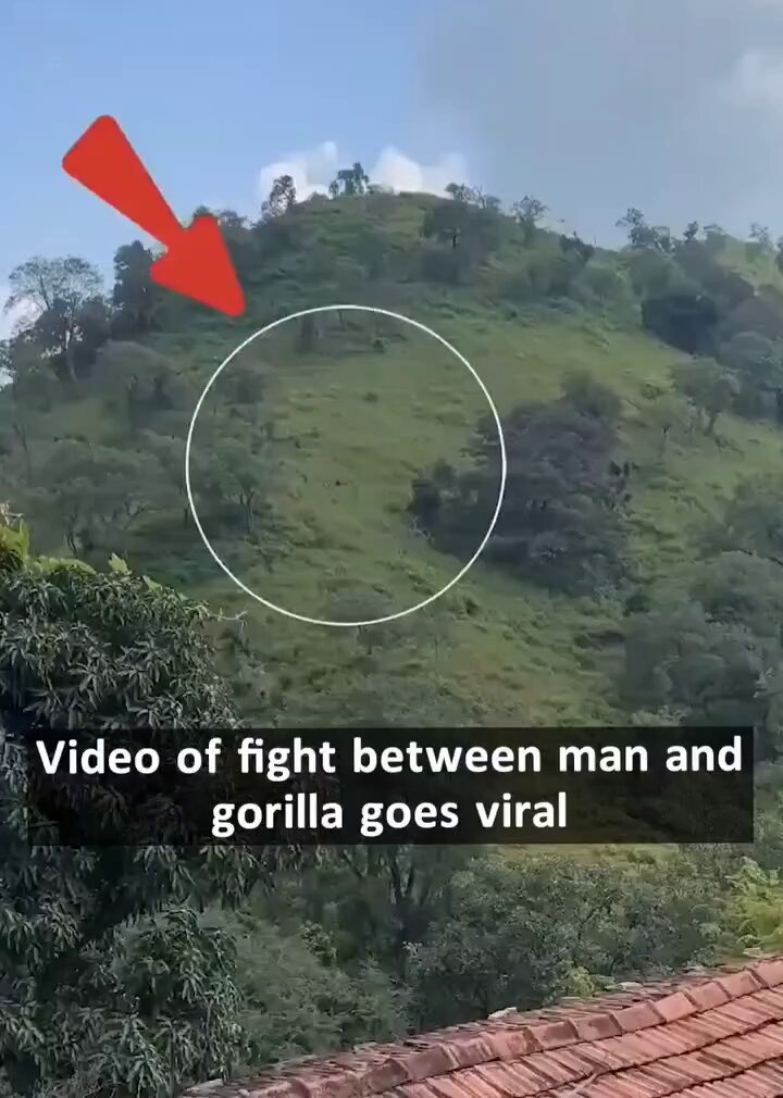 So it doesn't take 100 men 😆