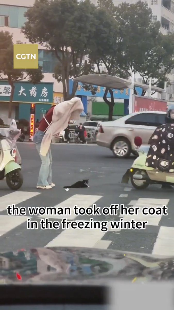 A stray kitten was seen wobbling and weaving into onrushing traffic. Despite the freezing cold, a warm-hearted woman on a scooter pulled up, took off her coat and scooped the kitty up in it. #ChinaSeen